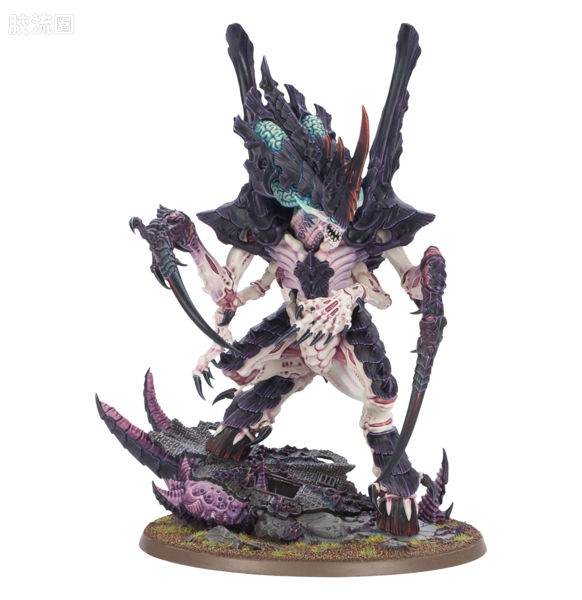 战锤40K Tyranid 泰伦虫族 10版 诺恩使者 - 图片
