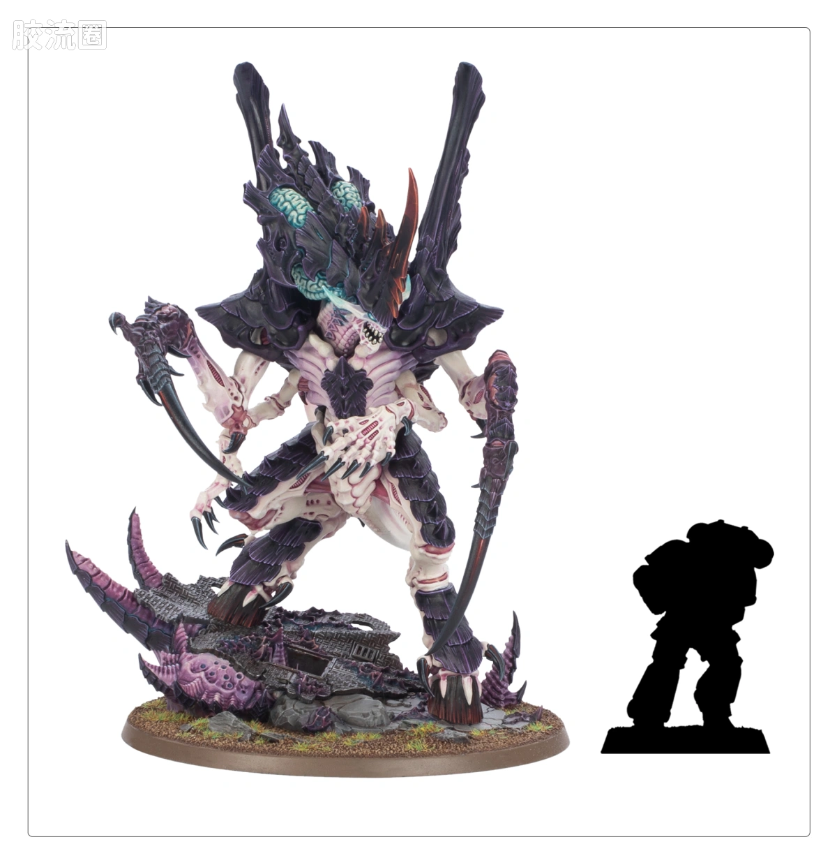战锤40K Tyranid 泰伦虫族 10版 诺恩使者 - 图片