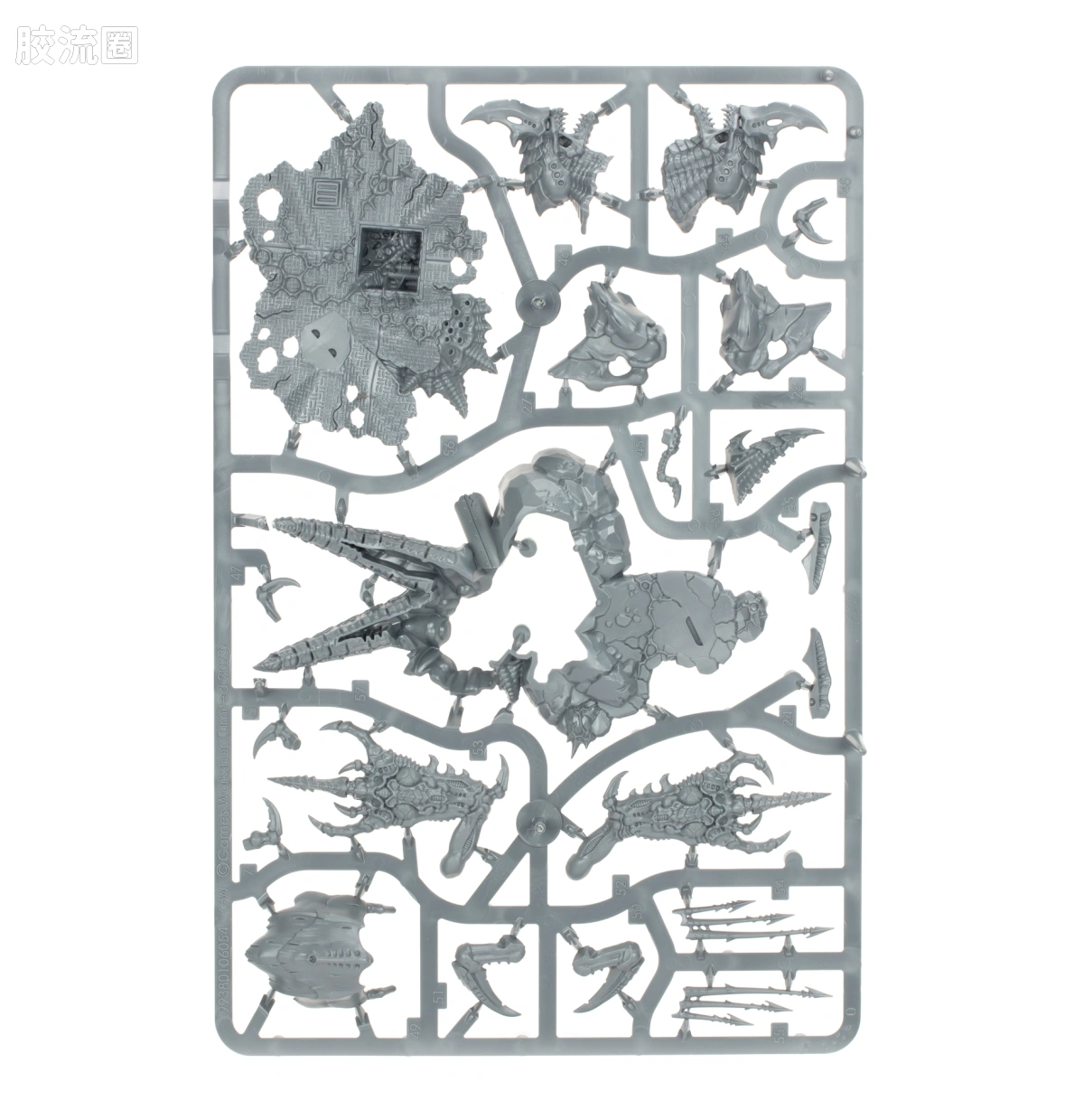 战锤40K Tyranid 泰伦虫族 10版 诺恩使者 - 图片