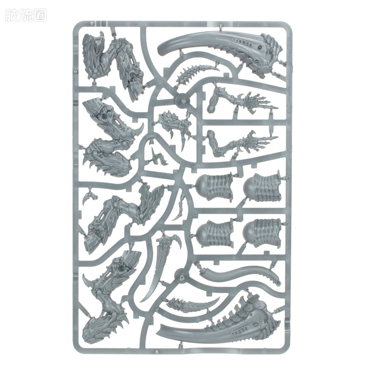 战锤40K Tyranid 泰伦虫族 10版 诺恩使者 - 图片
