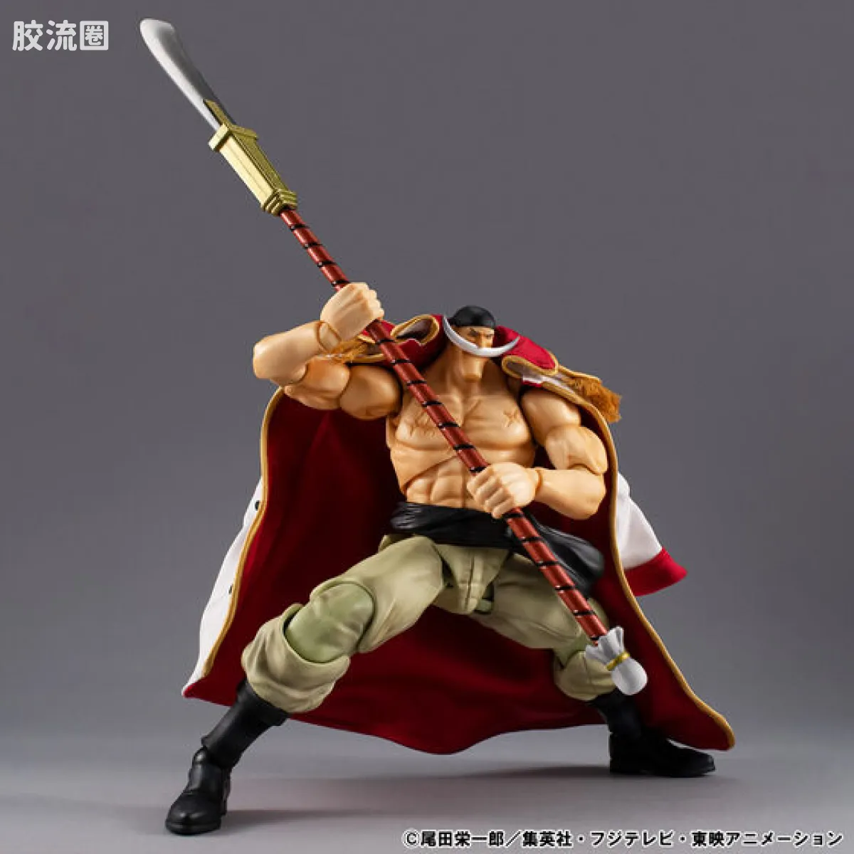 VARIABLE ACTION HEROES 普通版 爱德华·纽盖特 Ver. 1.5 - 图片