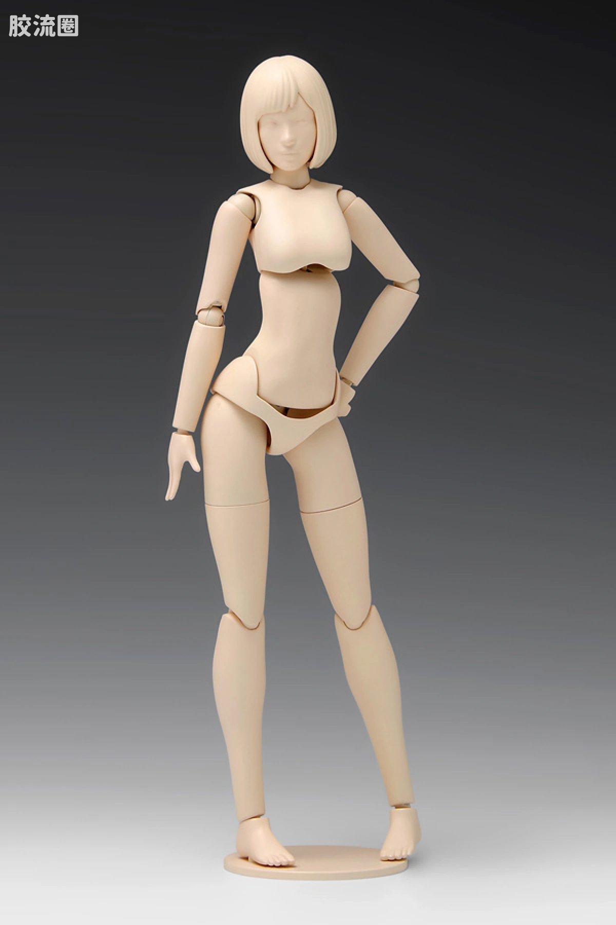 WAVE拼装综合系列 MOVABLE BODY スケール ムーバブルボディ 女性型［Aバージョン］ - 图片