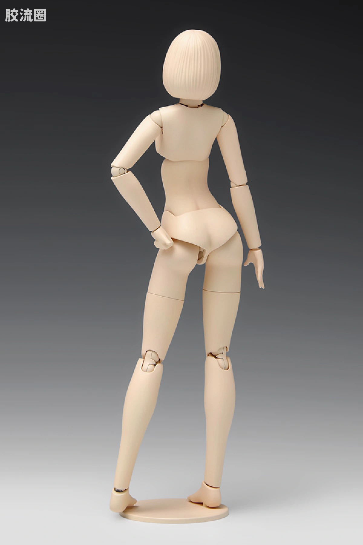 WAVE拼装综合系列 MOVABLE BODY スケール ムーバブルボディ 女性型［Aバージョン］ - 图片