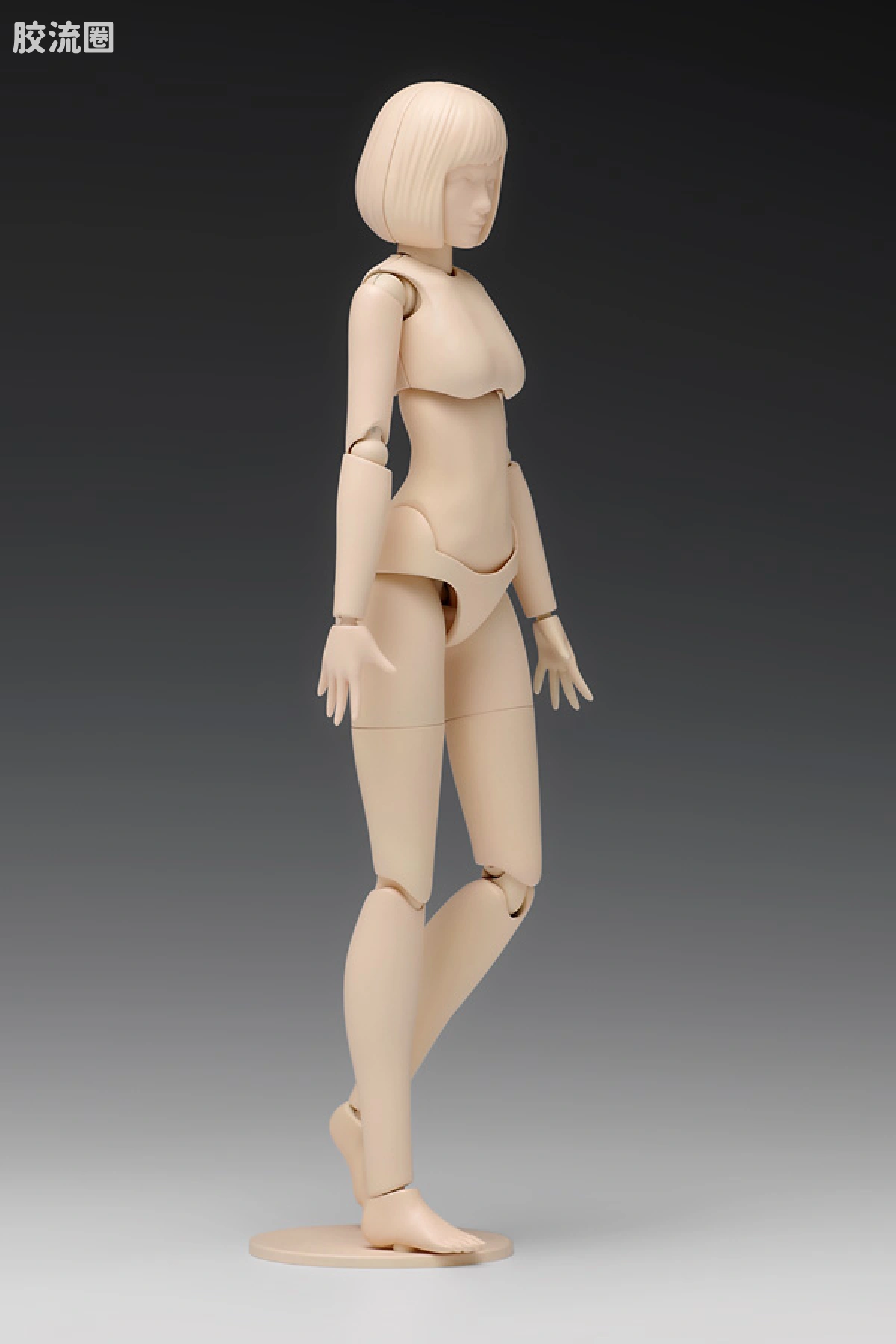 WAVE拼装综合系列 MOVABLE BODY スケール ムーバブルボディ 女性型［Aバージョン］ - 图片