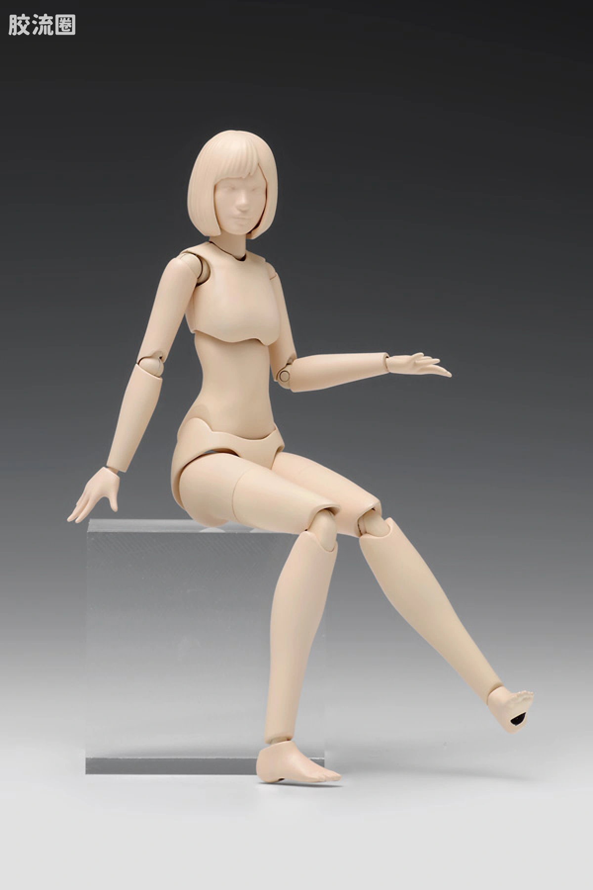 WAVE拼装综合系列 MOVABLE BODY スケール ムーバブルボディ 女性型［Aバージョン］ - 图片