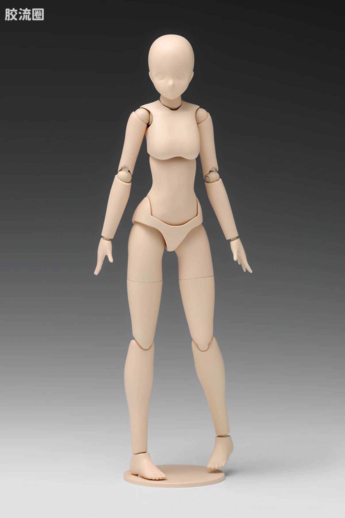 WAVE拼装综合系列 MOVABLE BODY スケール ムーバブルボディ 女性型［Aバージョン］ - 图片