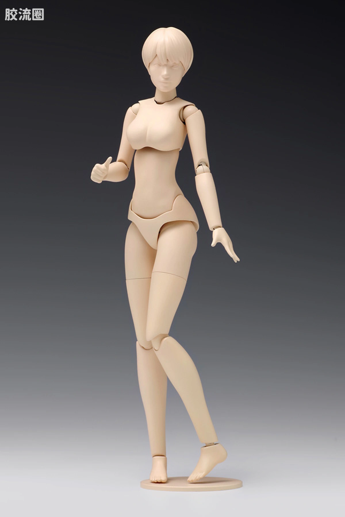 WAVE拼装综合系列 MOVABLE BODY スケール ムーバブルボディ 女性型［Bバージョン］ - 图片