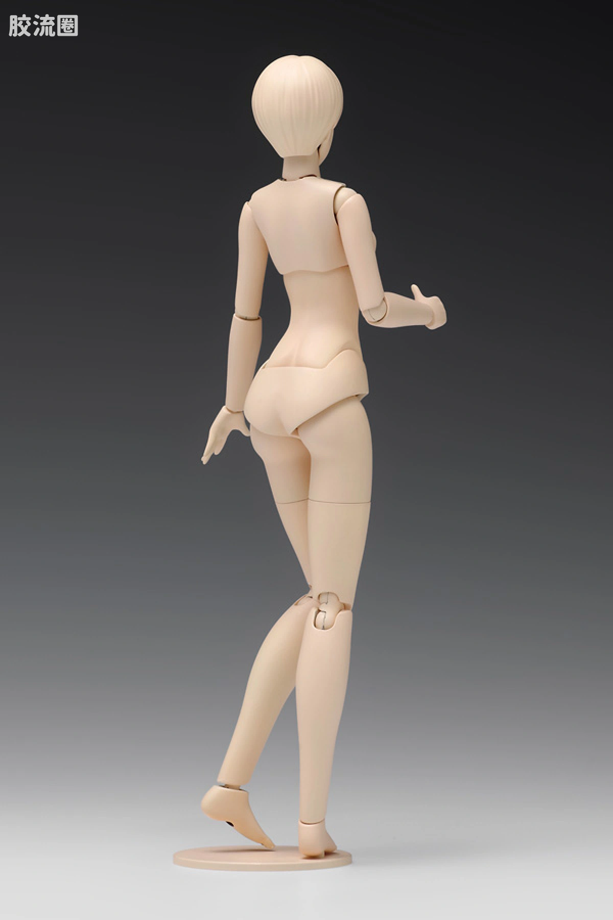 WAVE拼装综合系列 MOVABLE BODY スケール ムーバブルボディ 女性型［Bバージョン］ - 图片