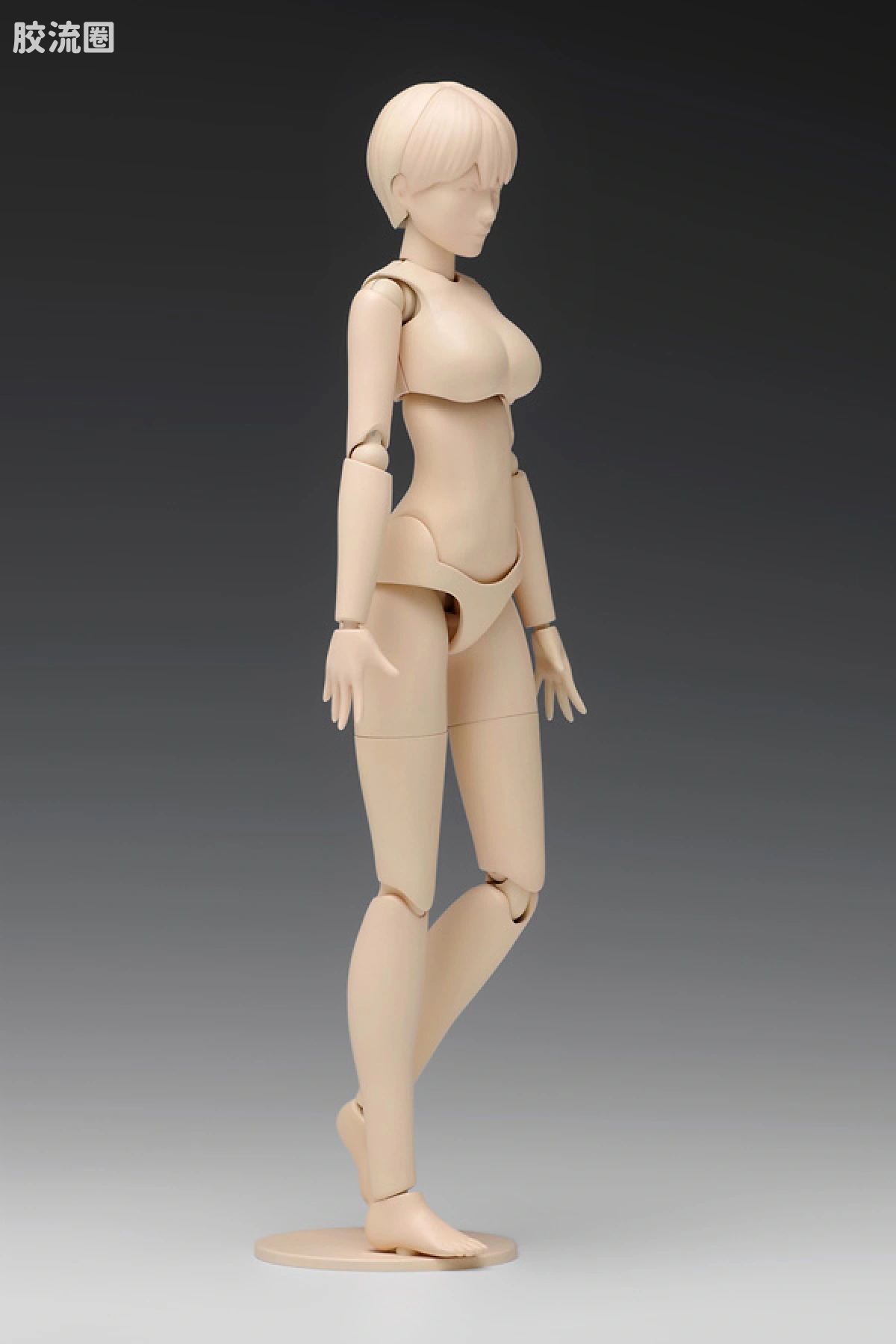WAVE拼装综合系列 MOVABLE BODY スケール ムーバブルボディ 女性型［Bバージョン］ - 图片