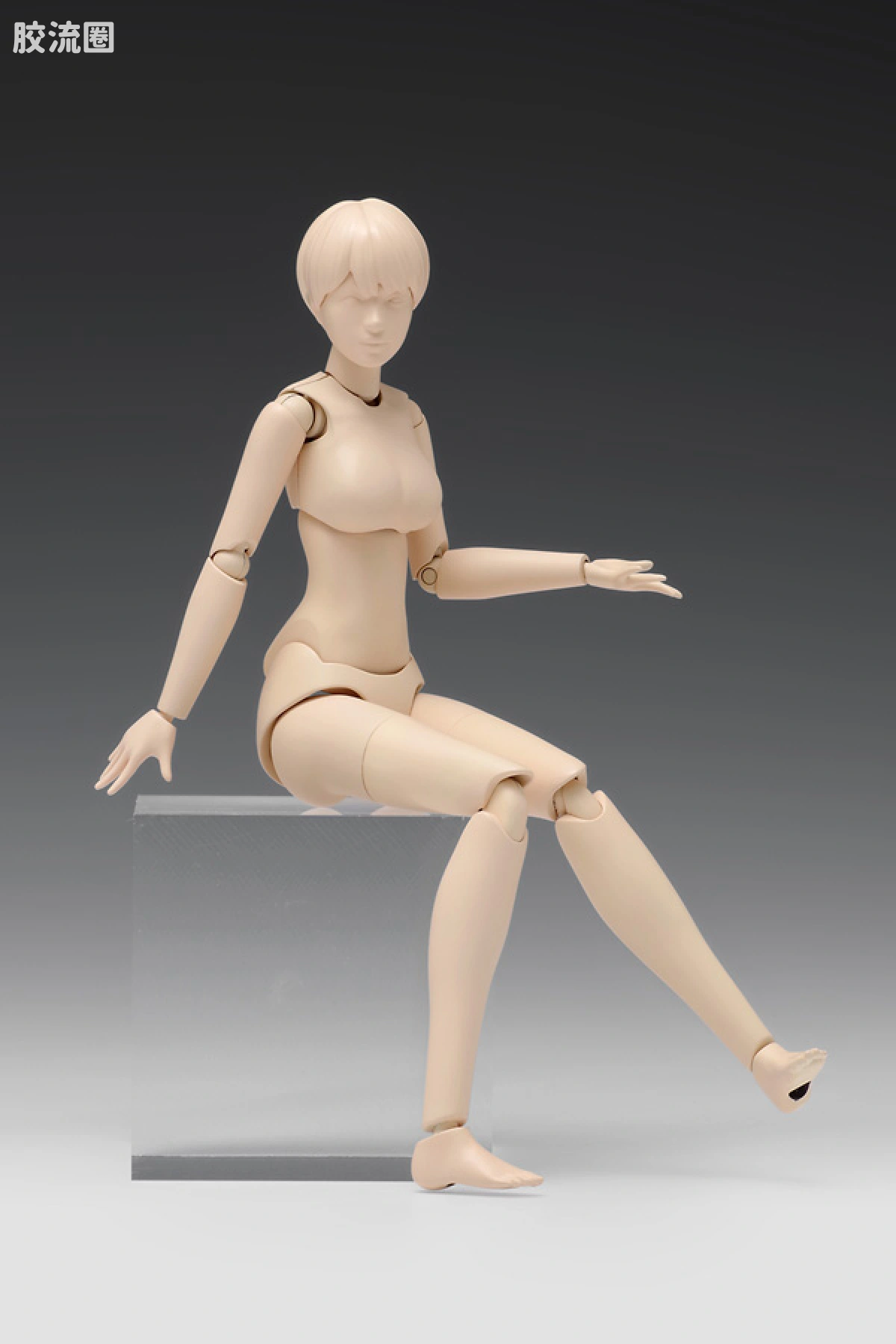 WAVE拼装综合系列 MOVABLE BODY スケール ムーバブルボディ 女性型［Bバージョン］ - 图片
