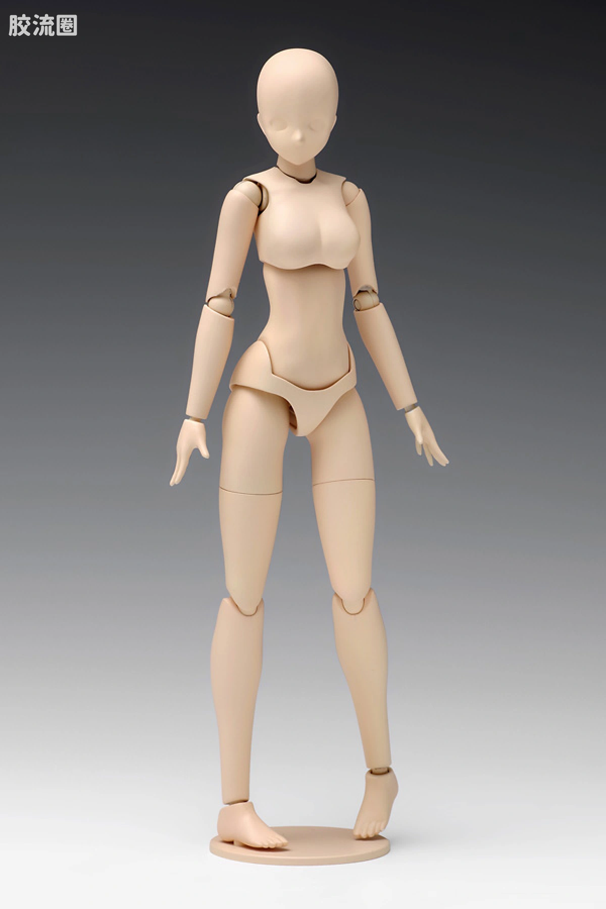WAVE拼装综合系列 MOVABLE BODY スケール ムーバブルボディ 女性型［Bバージョン］ - 图片