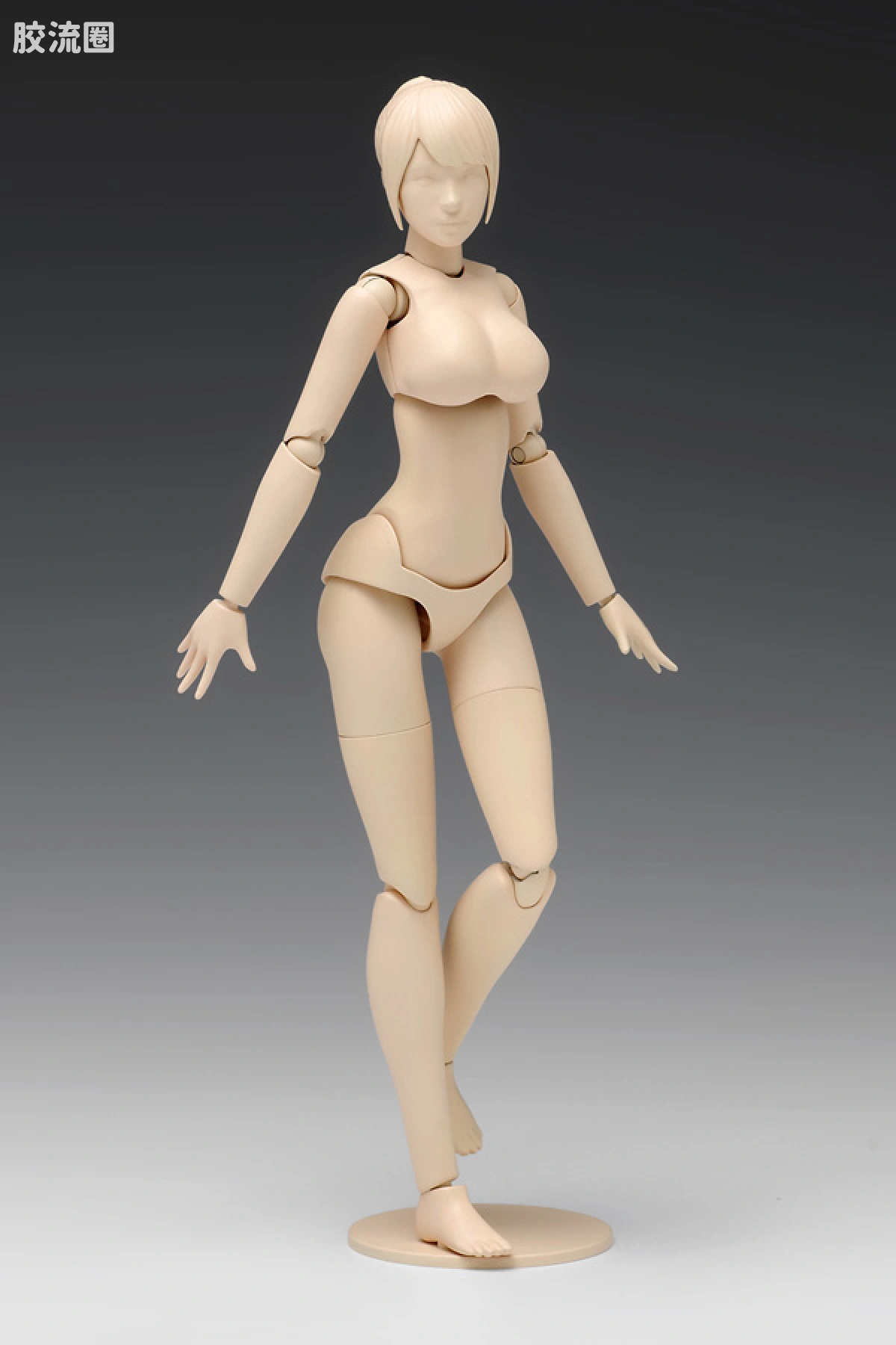 WAVE拼装综合系列 MOVABLE BODY スケール ムーバブルボディ 女性型［Cバージョン］ - 图片