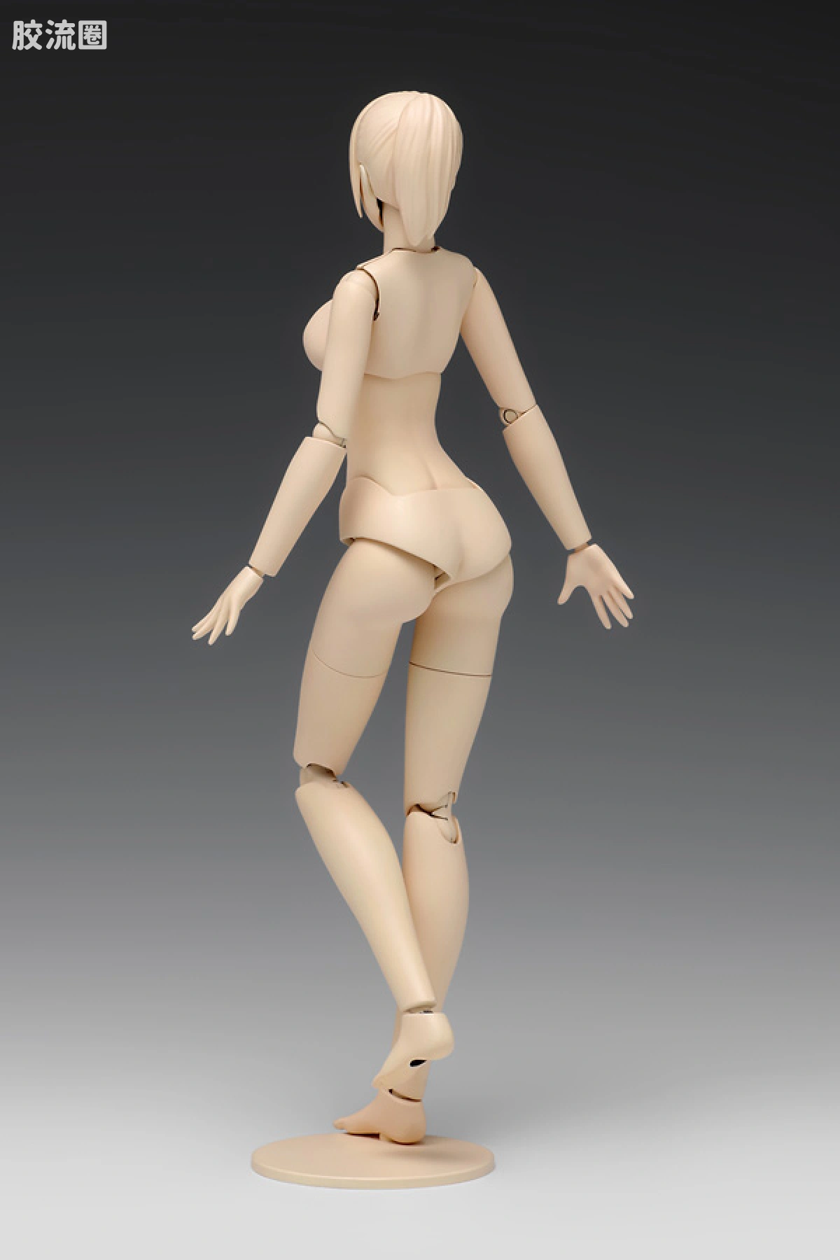 WAVE拼装综合系列 MOVABLE BODY スケール ムーバブルボディ 女性型［Cバージョン］ - 图片
