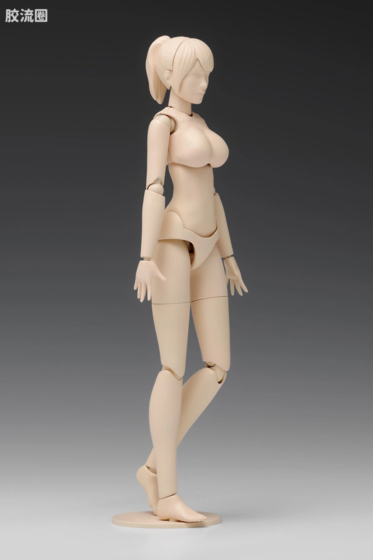 WAVE拼装综合系列 MOVABLE BODY スケール ムーバブルボディ 女性型［Cバージョン］ - 图片