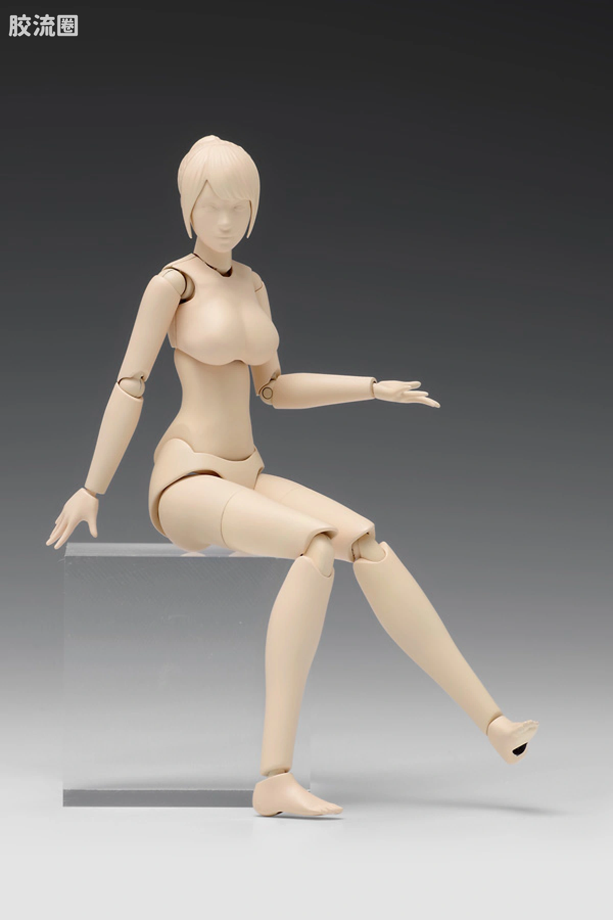 WAVE拼装综合系列 MOVABLE BODY スケール ムーバブルボディ 女性型［Cバージョン］ - 图片