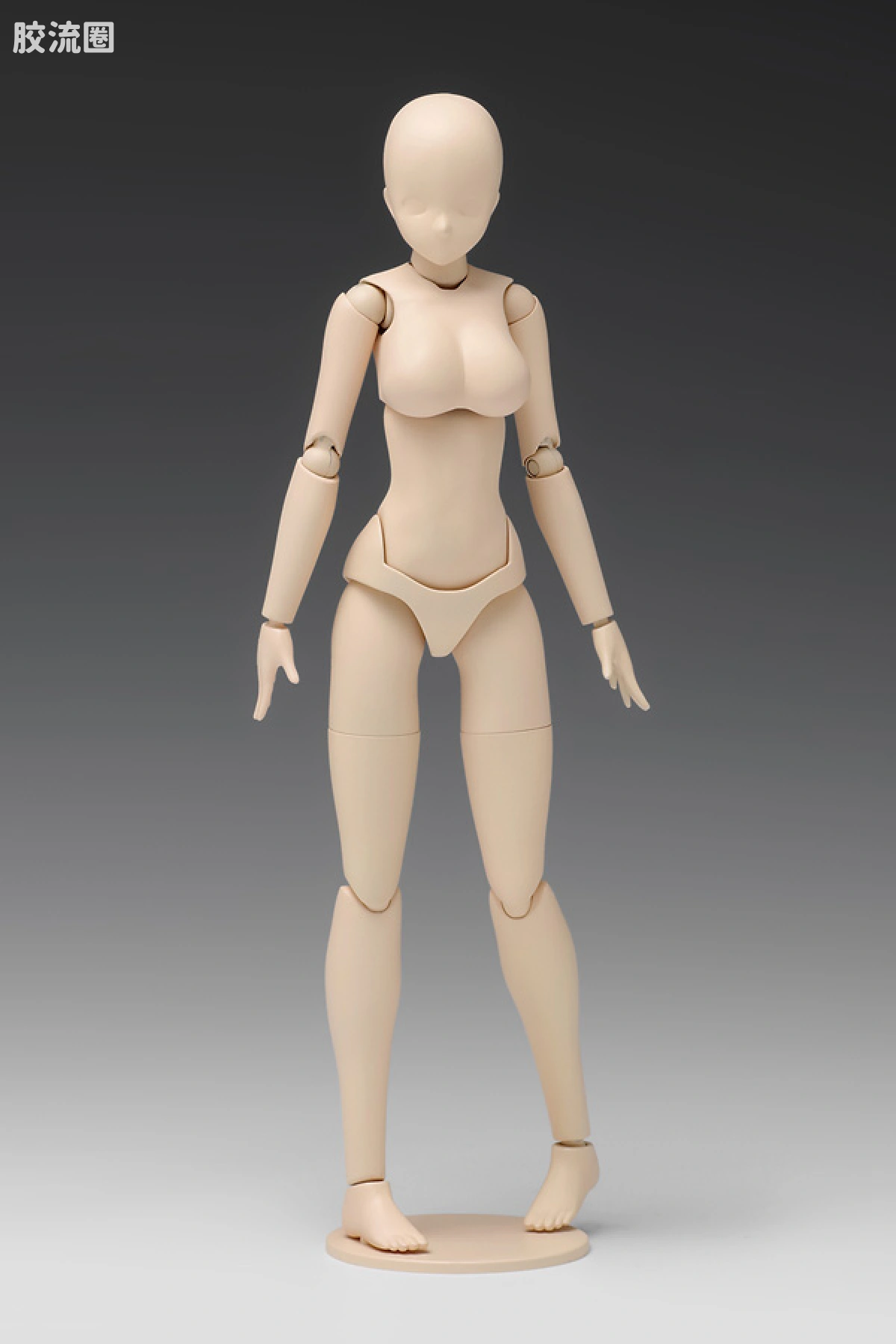 WAVE拼装综合系列 MOVABLE BODY スケール ムーバブルボディ 女性型［Cバージョン］ - 图片