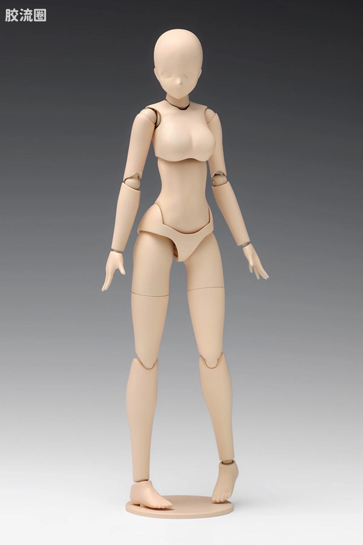 WAVE拼装综合系列 MOVABLE BODY スケール ムーバブルボディ 女性型［スタンダード］ - 图片