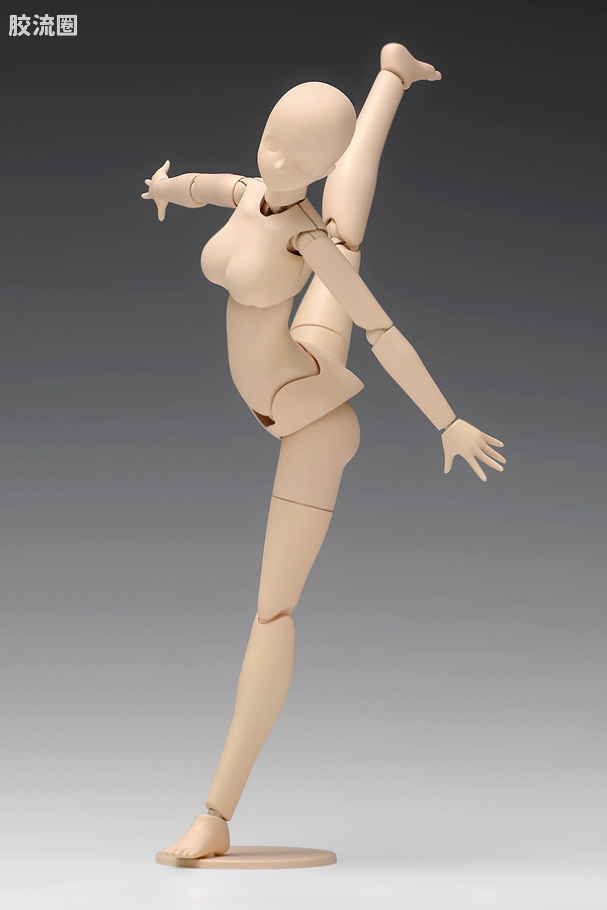 WAVE拼装综合系列 MOVABLE BODY スケール ムーバブルボディ 女性型［スタンダード］ - 图片