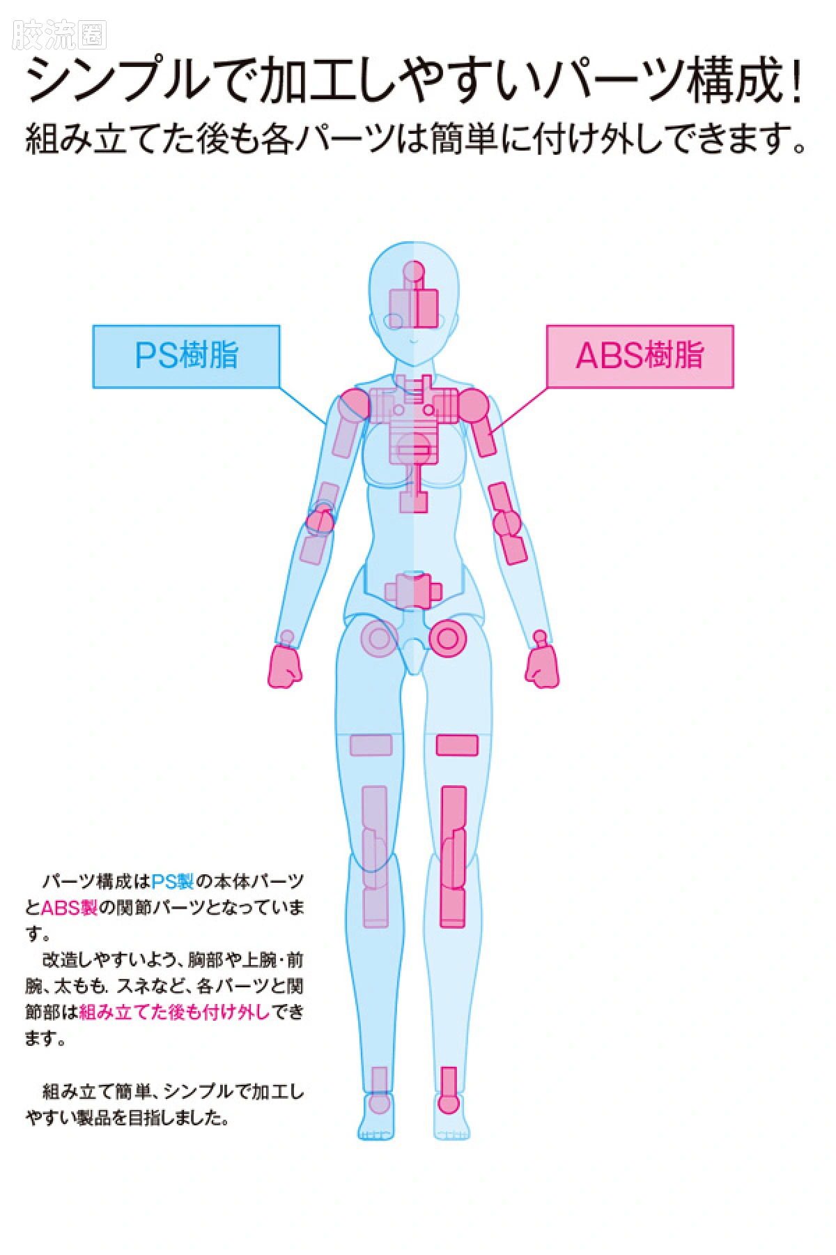 WAVE拼装综合系列 MOVABLE BODY スケール ムーバブルボディ 女性型［スタンダード］ - 图片