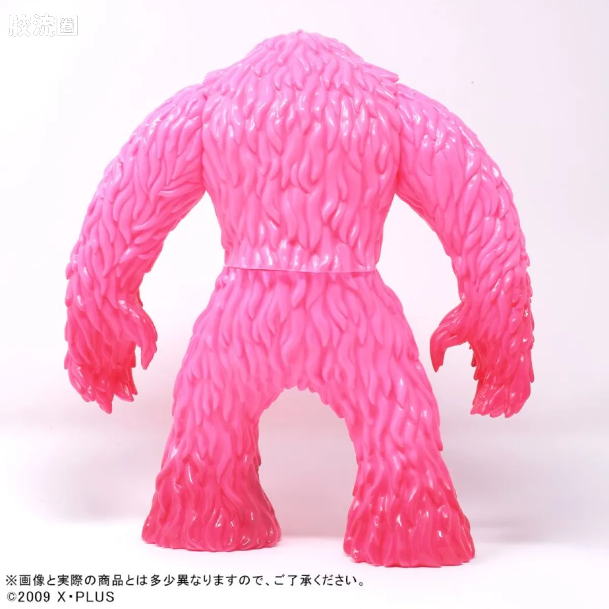 CYCLOP  普通版 PINKY CYCLOP (ssp.) - 图片