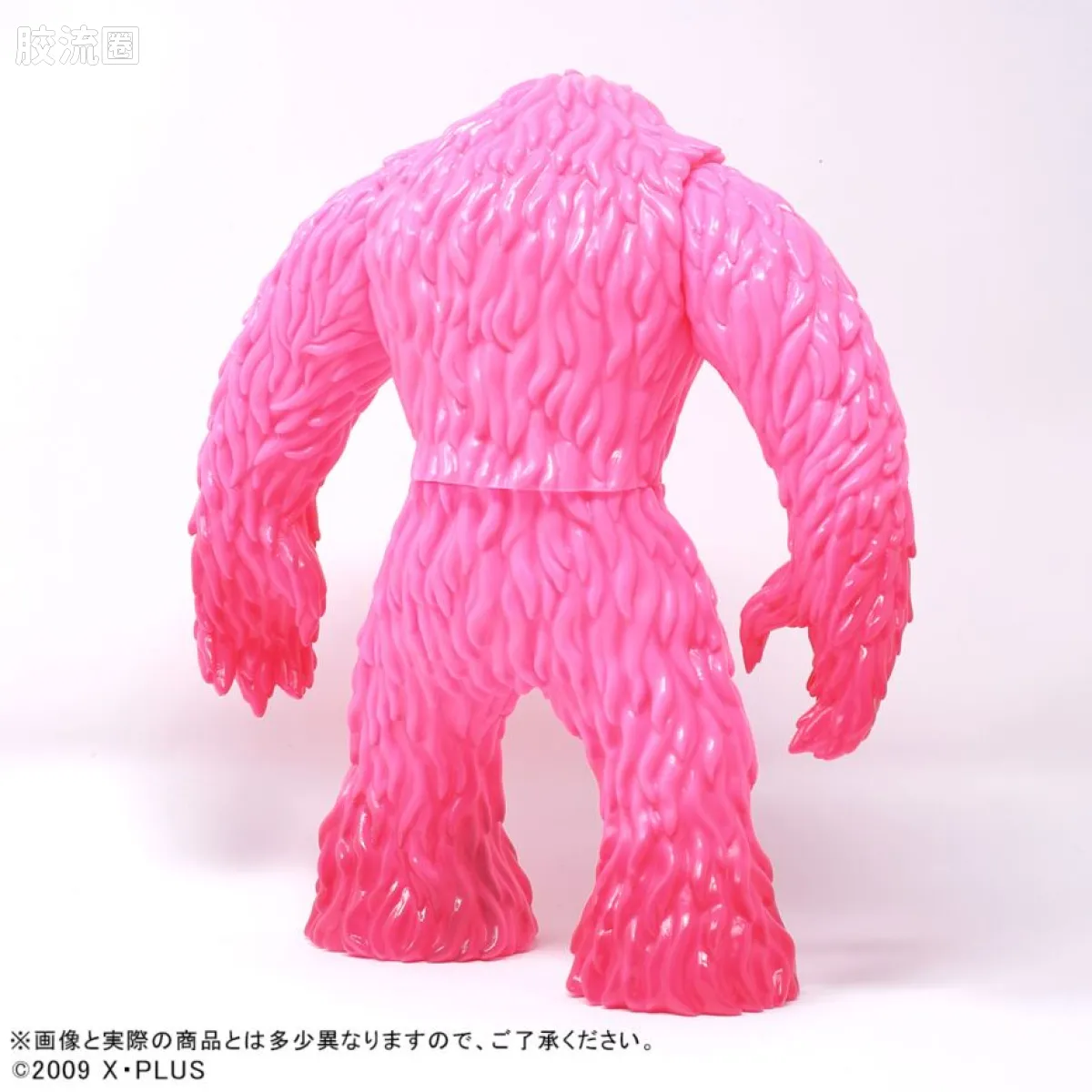 CYCLOP  普通版 PINKY CYCLOP (ssp.) - 图片