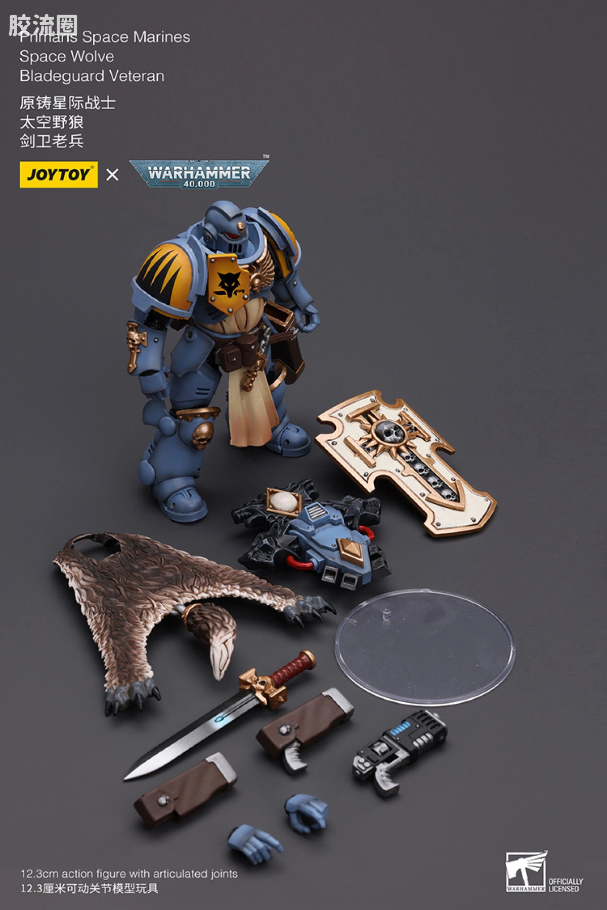 JOYTOY x 战锤40K 太空野狼 【3.0】太空野狼剑卫老兵 - 图片