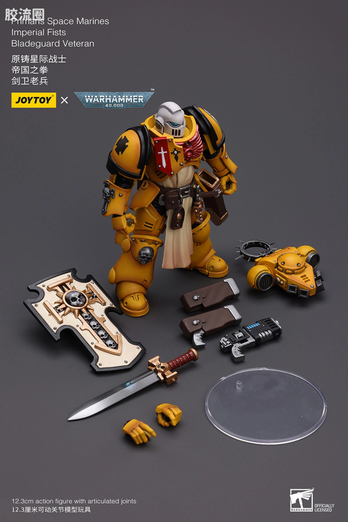JOYTOY x 战锤40K 太空野狼 【3.0】太空野狼剑卫老兵 - 图片