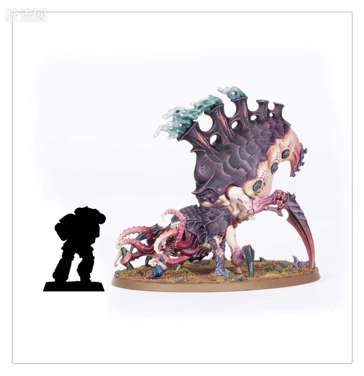 战锤40K Tyranid 泰伦虫族 10版 利维坦 噬灵虫 - 图片