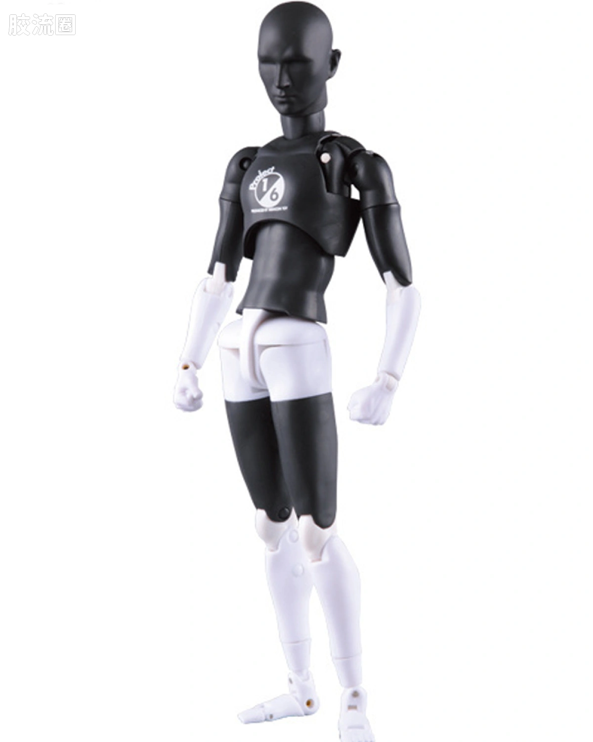 RAH301改 PROJECT 1/6 Ver.