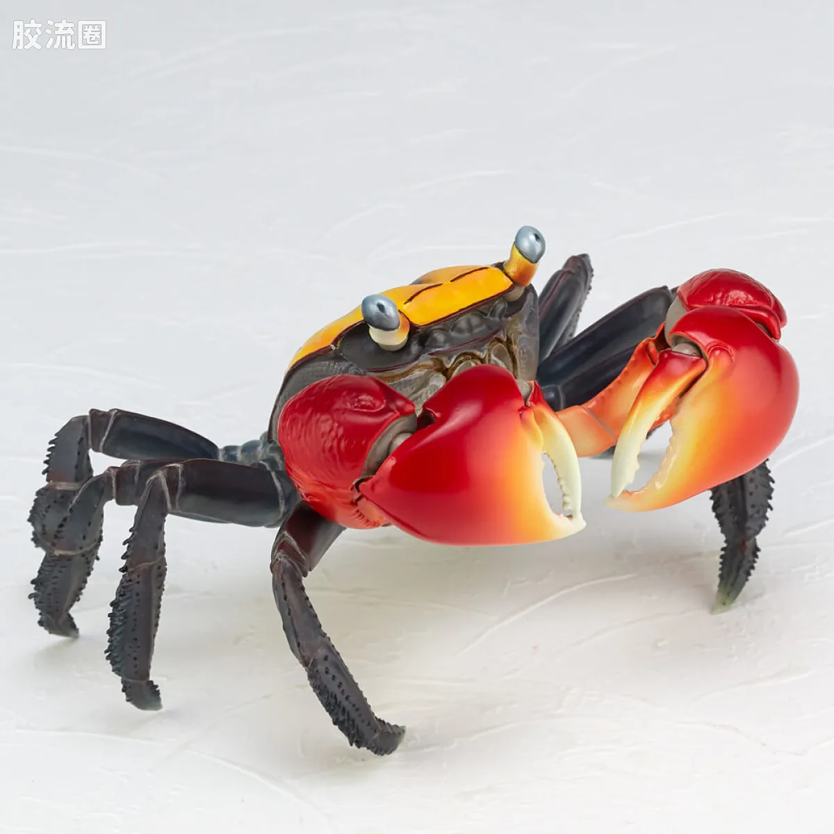 转轮科技 REVOLTECH GEO 红螯相手蟹 - 图片