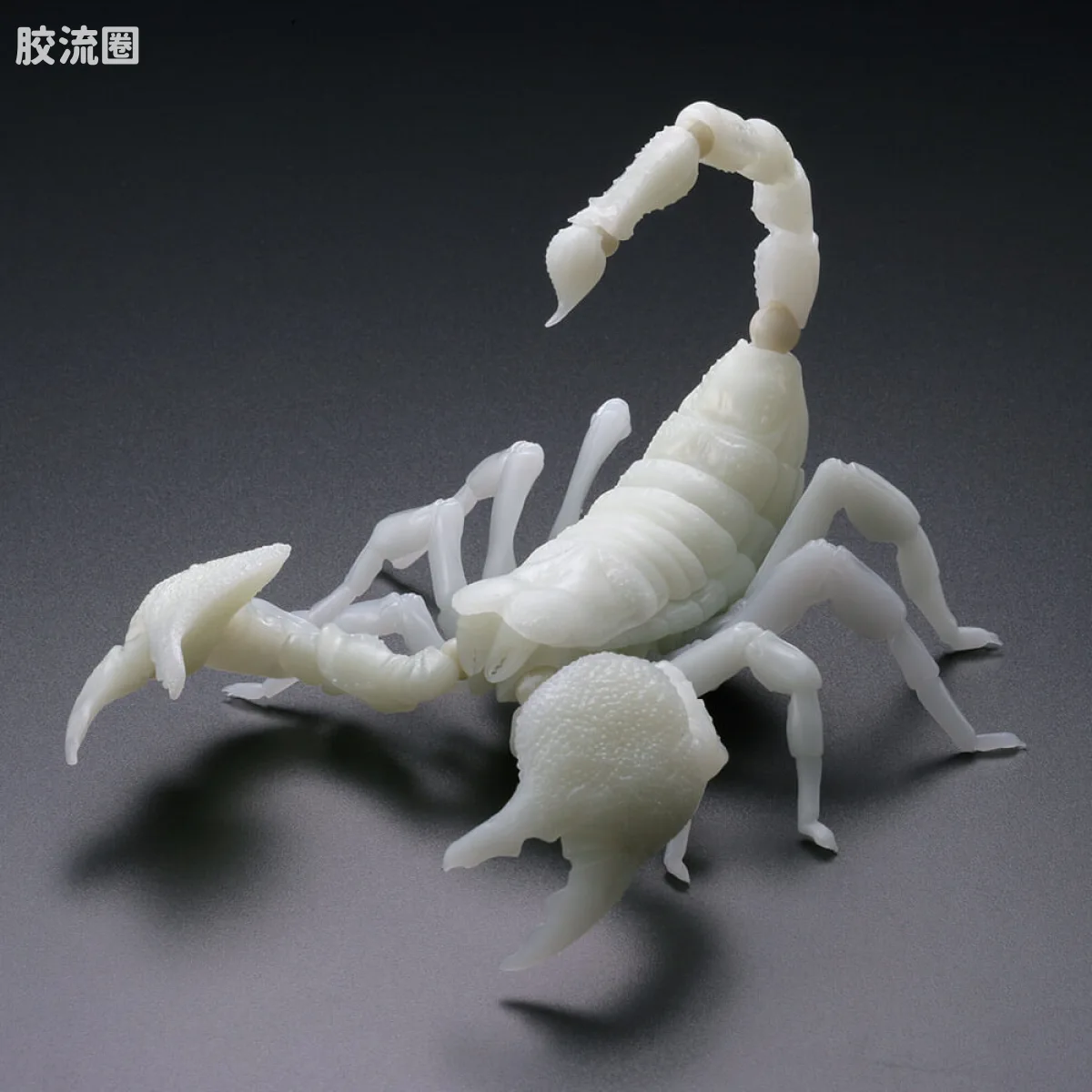 转轮科技 REVOLTECH GEO 帝王蝎(夜光版) - 图片