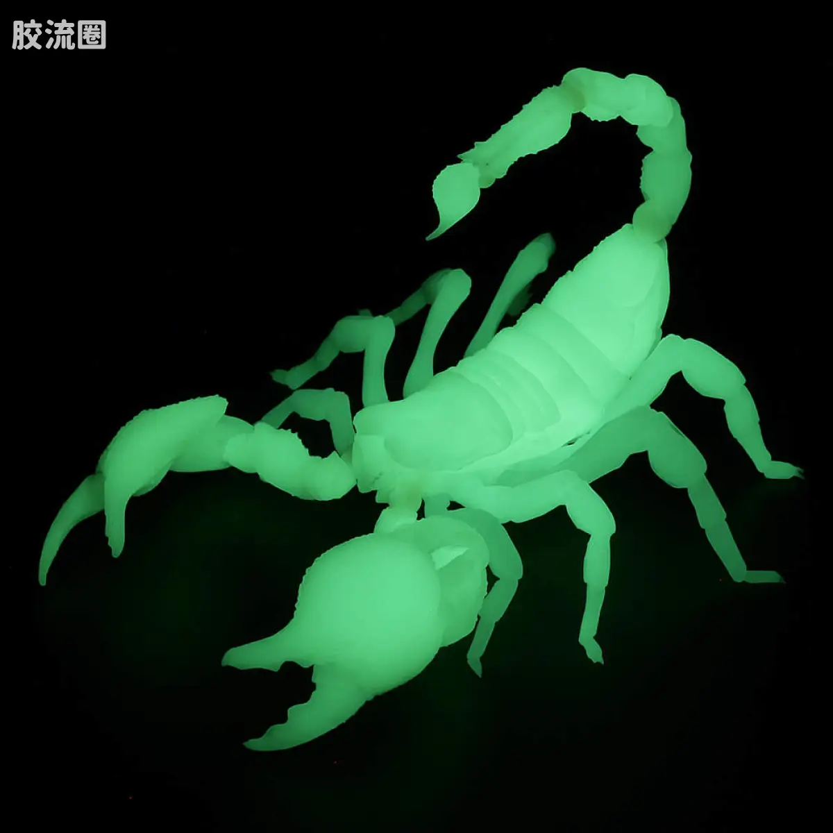 转轮科技 REVOLTECH GEO 帝王蝎(夜光版) - 图片