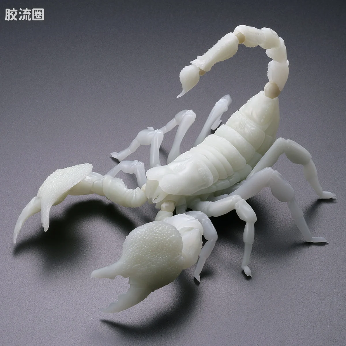 转轮科技 REVOLTECH GEO 帝王蝎(夜光版) - 图片
