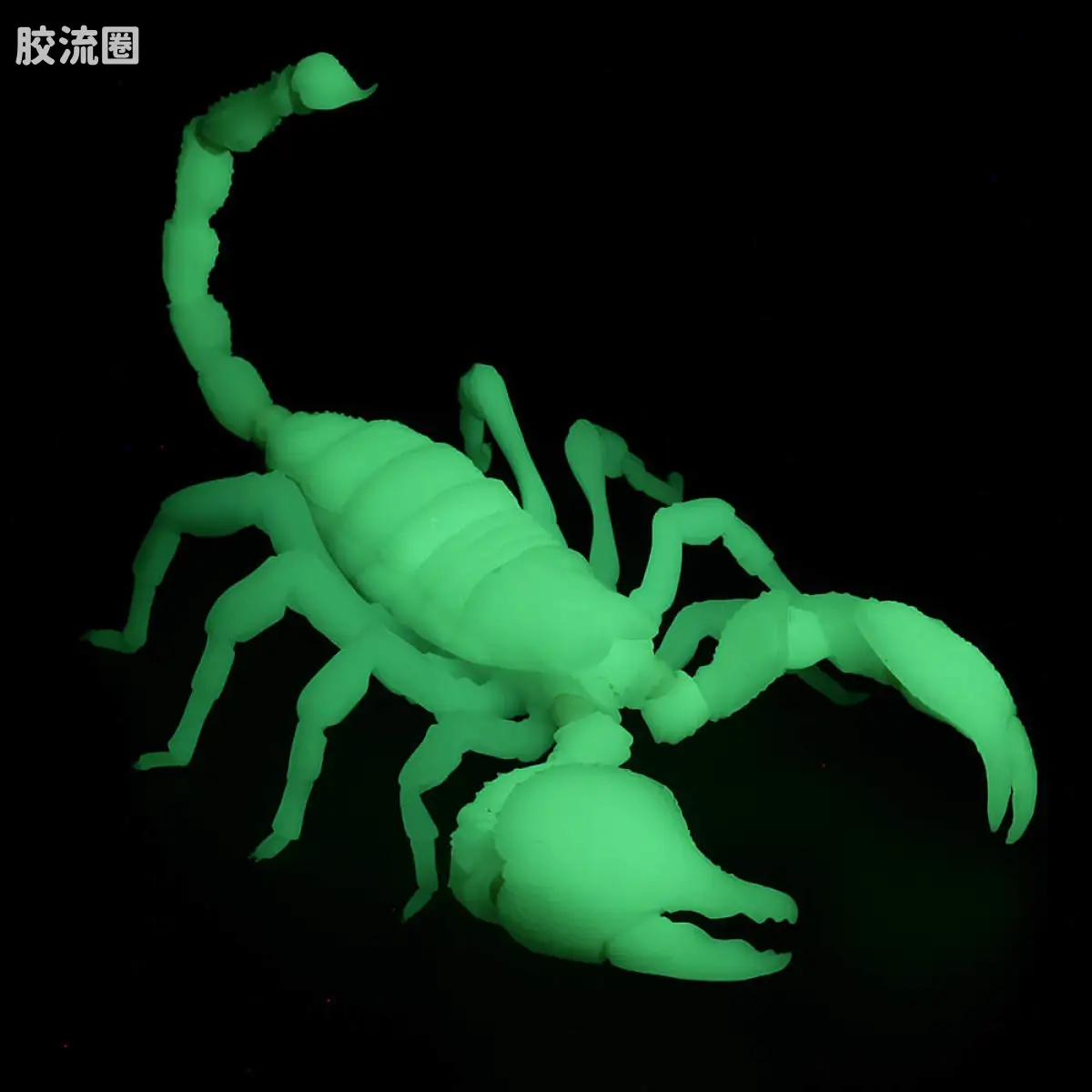 转轮科技 REVOLTECH GEO 帝王蝎(夜光版) - 图片