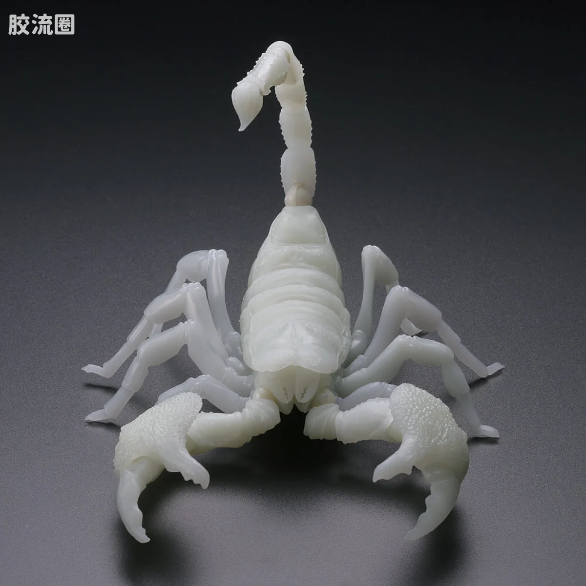 转轮科技 REVOLTECH GEO 帝王蝎(夜光版) - 图片