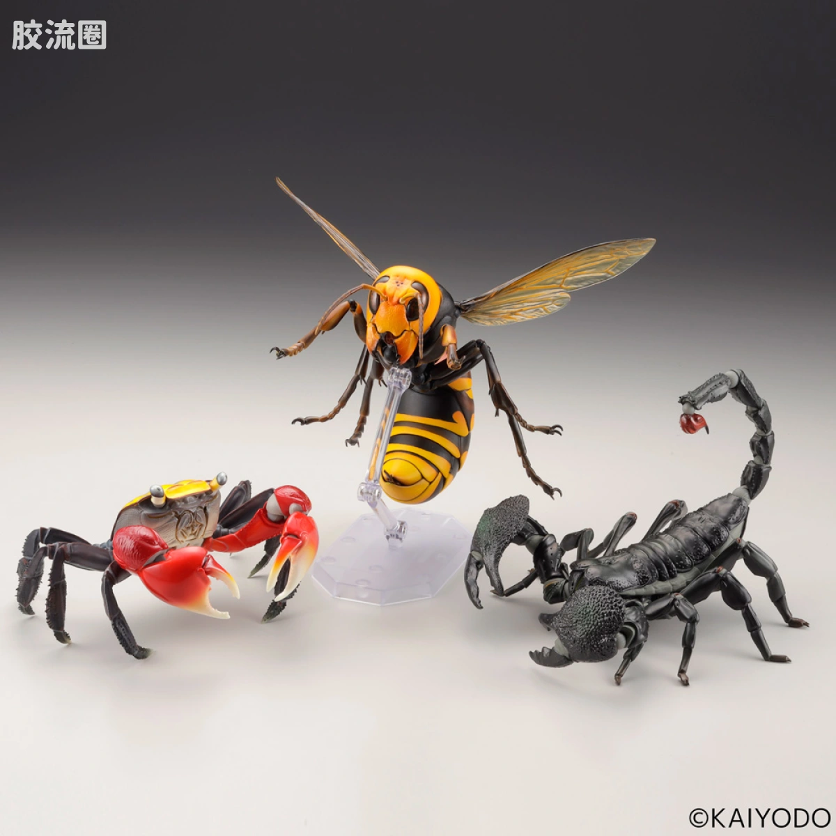 转轮科技 REVOLTECH GEO 大虎头蜂 - 图片
