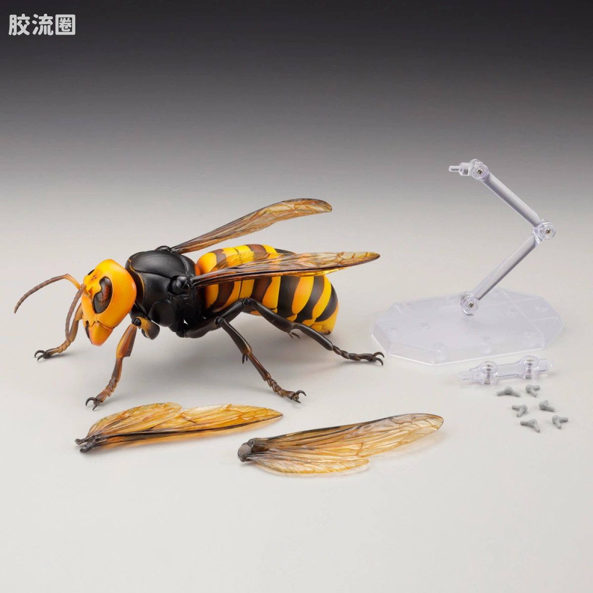 转轮科技 REVOLTECH GEO 大虎头蜂 - 图片