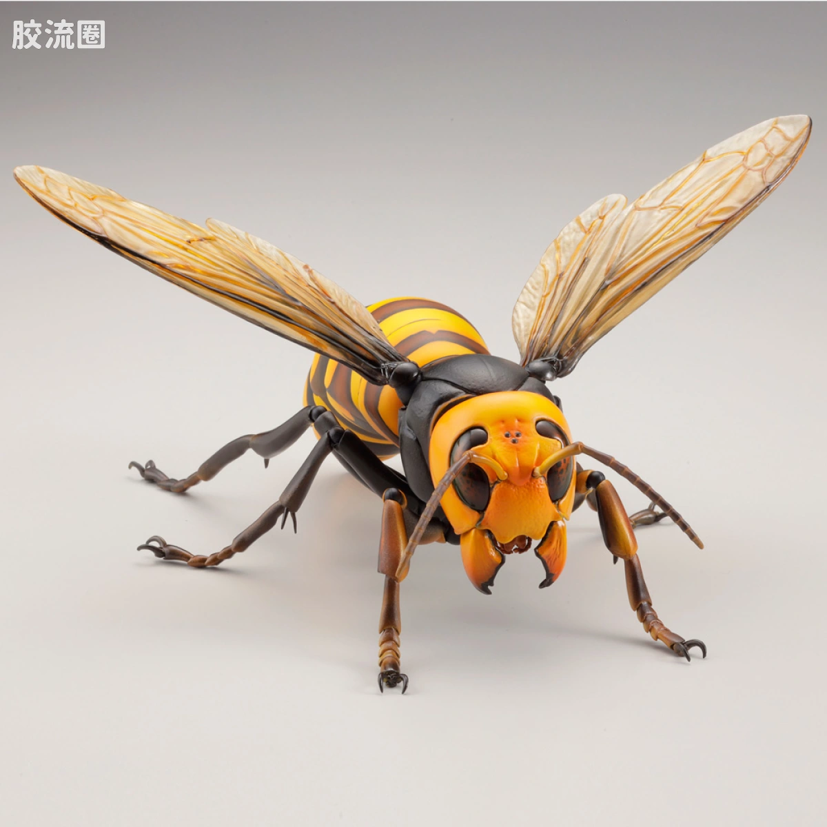 转轮科技 REVOLTECH GEO 大虎头蜂 - 图片