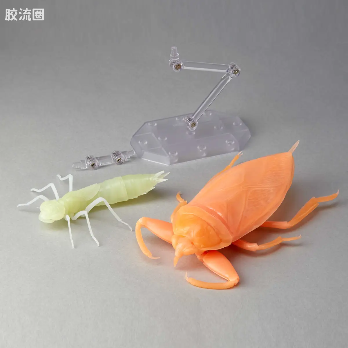 转轮科技 REVOLTECH GEO RG006 田鳖&绿胸晏蜓 橙色夜光ver. - 图片