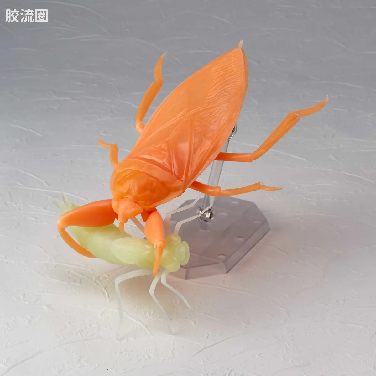 转轮科技 REVOLTECH GEO RG006 田鳖&绿胸晏蜓 橙色夜光ver. - 图片