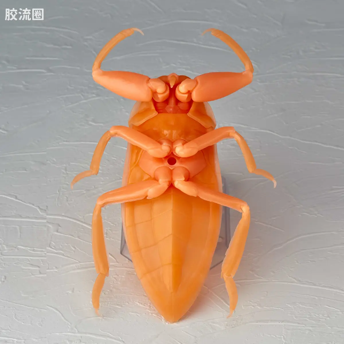 转轮科技 REVOLTECH GEO RG006 田鳖&绿胸晏蜓 橙色夜光ver. - 图片