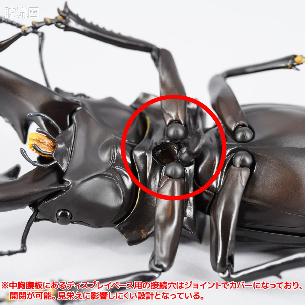转轮科技 REVOLTECH GEO RG007 长颈鹿锯锹形虫 - 图片