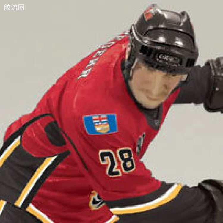 麦克法兰NHL冰球系列玩具 第24代 ROBYN REGEHR