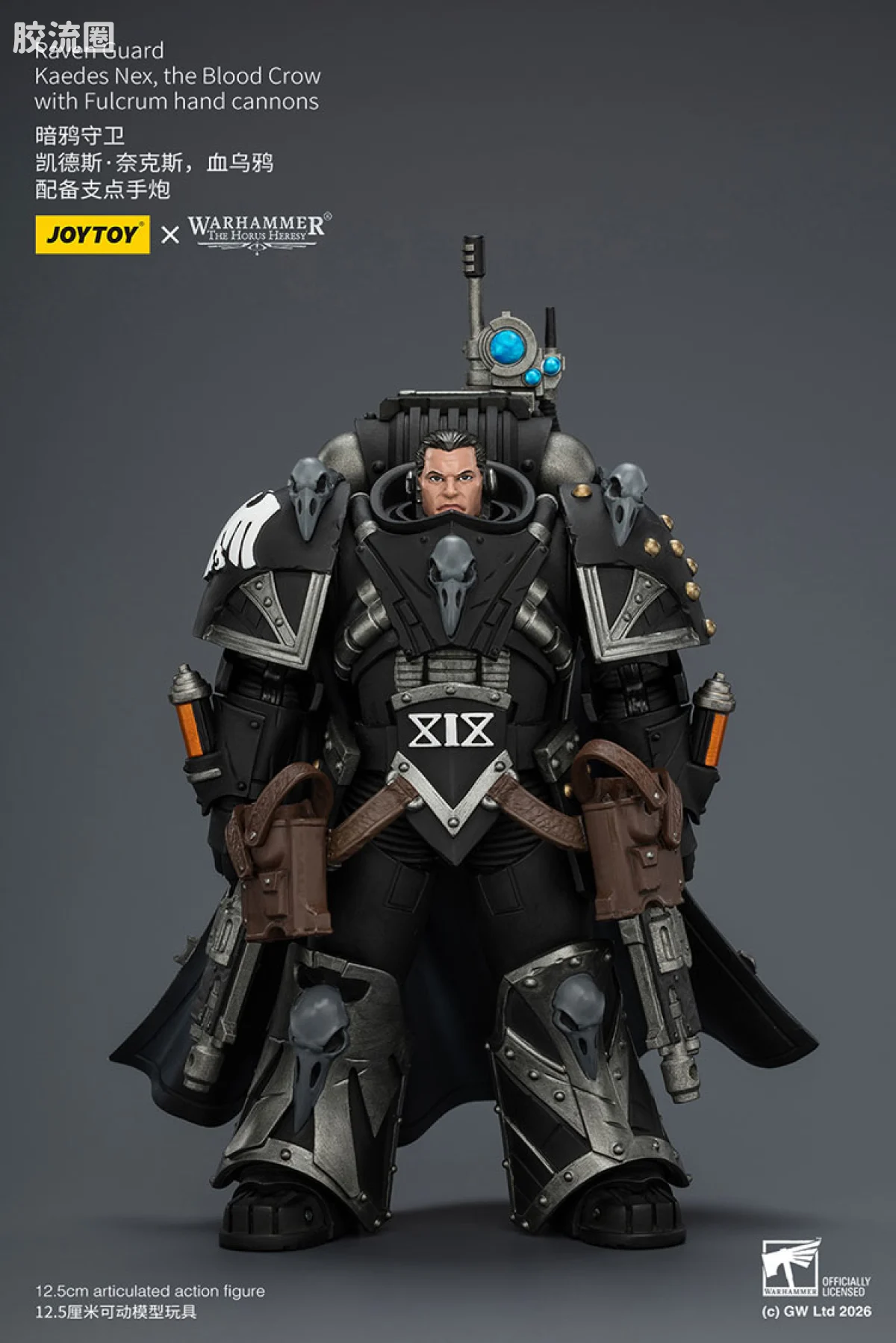 JOYTOY x 战锤40K null HH暗鸦守卫 凯德斯奈克斯 鲜血之鸦 - 图片