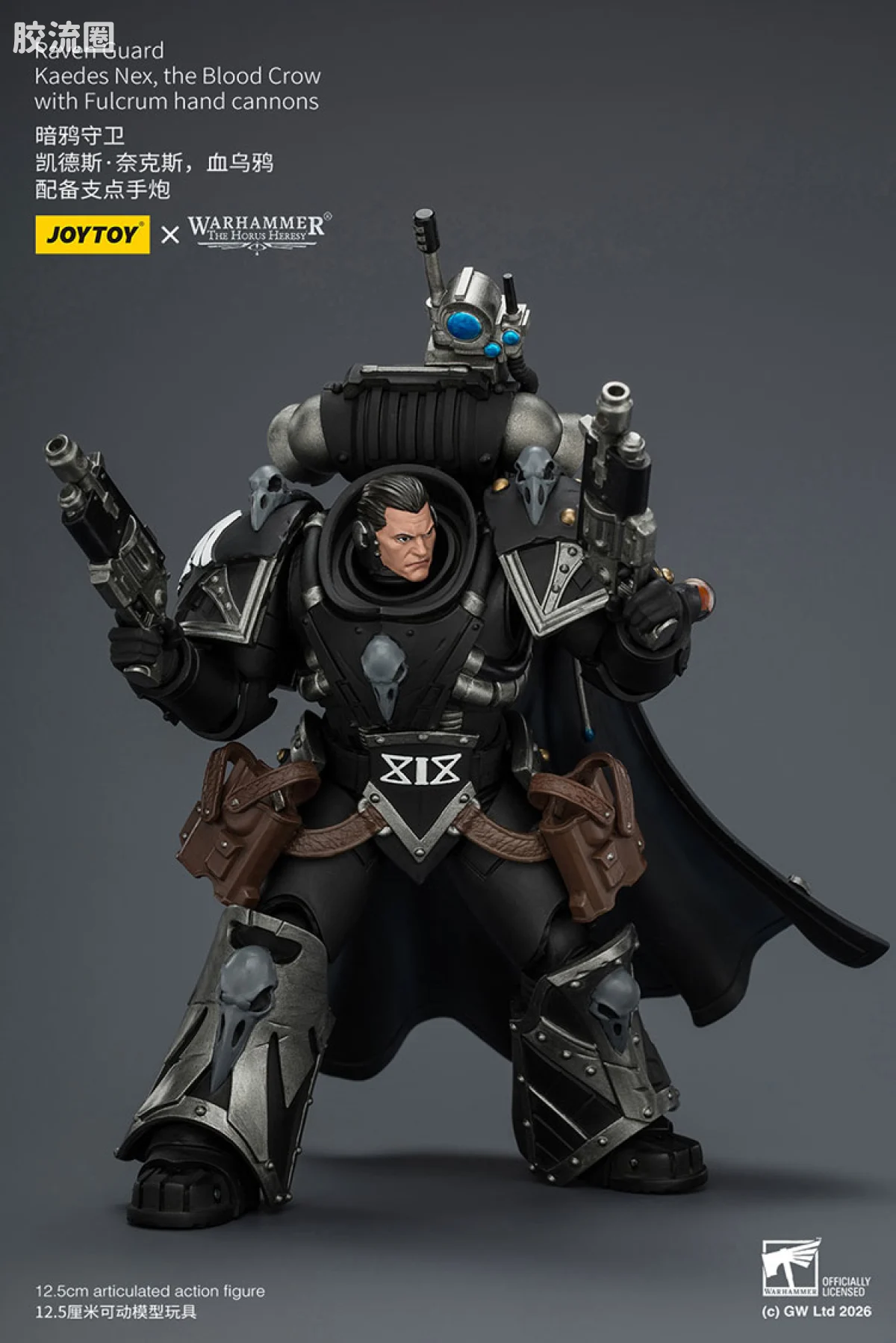 JOYTOY x 战锤40K null HH暗鸦守卫 凯德斯奈克斯 鲜血之鸦 - 图片