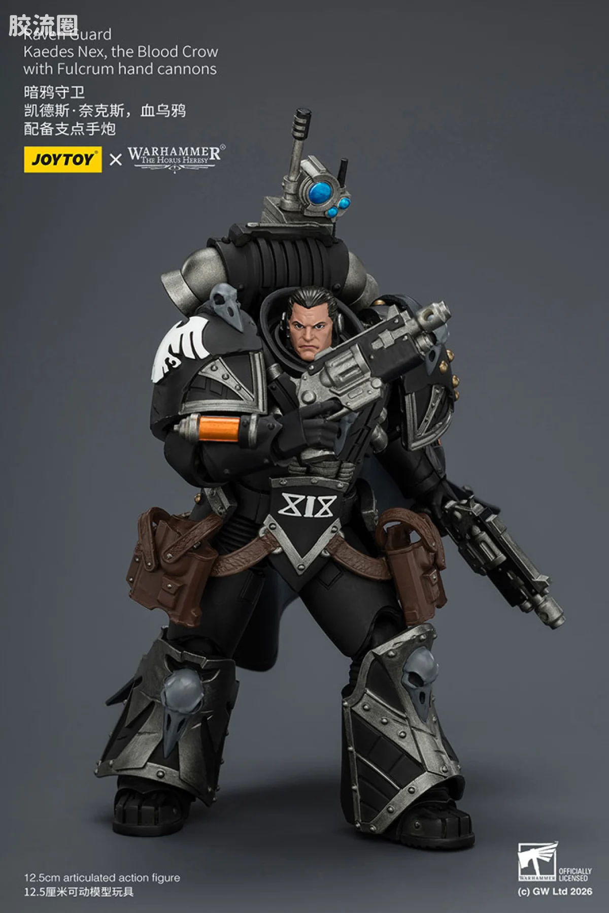 JOYTOY x 战锤40K null HH暗鸦守卫 凯德斯奈克斯 鲜血之鸦 - 图片