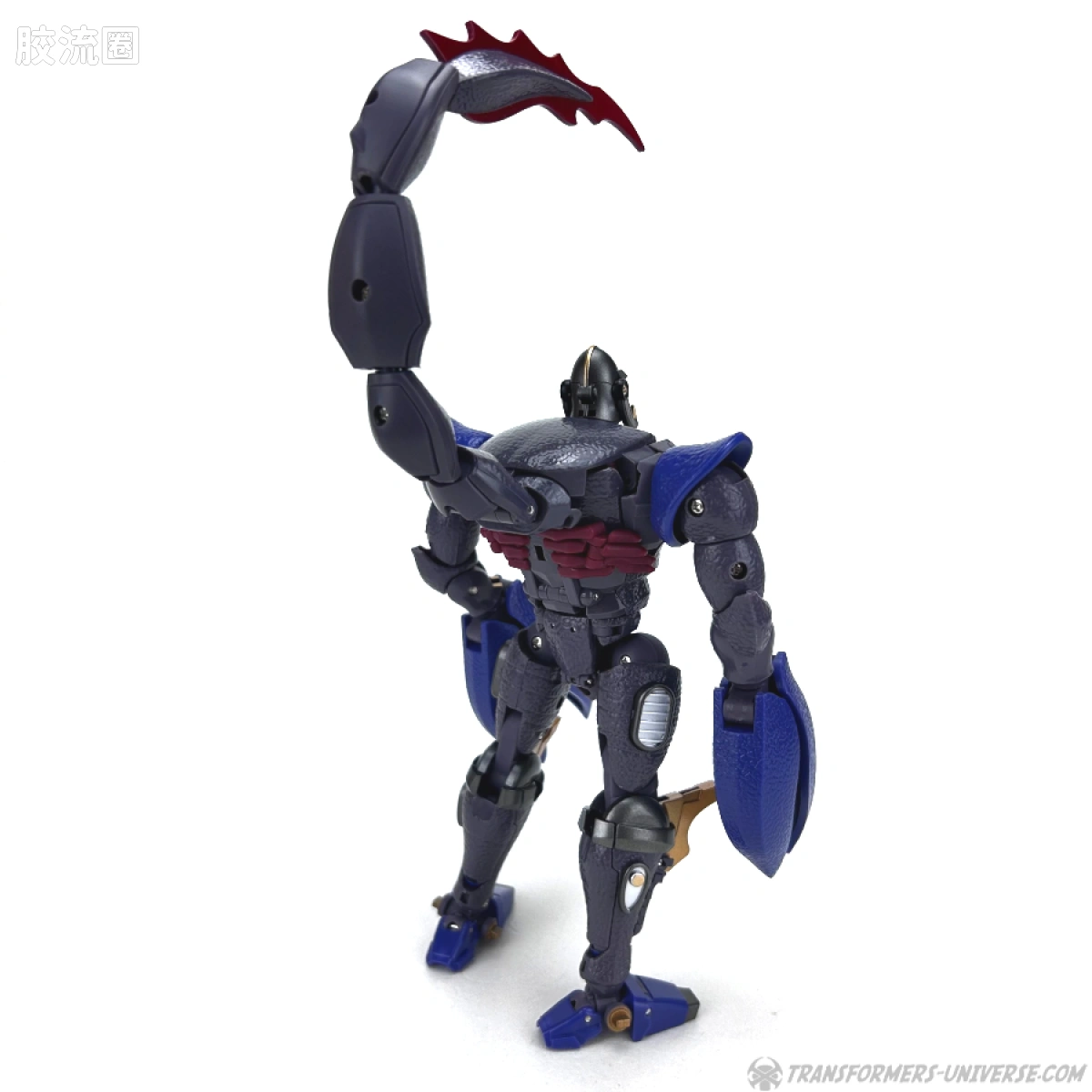 ROBOT TOYS 变形玩具系列 RT-D系列（MP比例） RT-D01 Lord Venatagon（毒敌代王） - 图片
