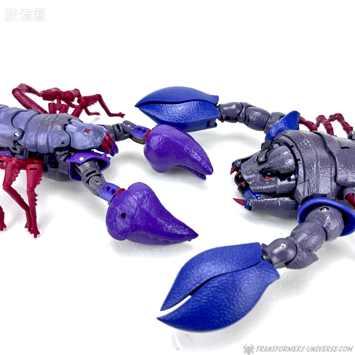 ROBOT TOYS 变形玩具系列 RT-D系列（MP比例） RT-D01 Lord Venatagon（毒敌代王） - 图片