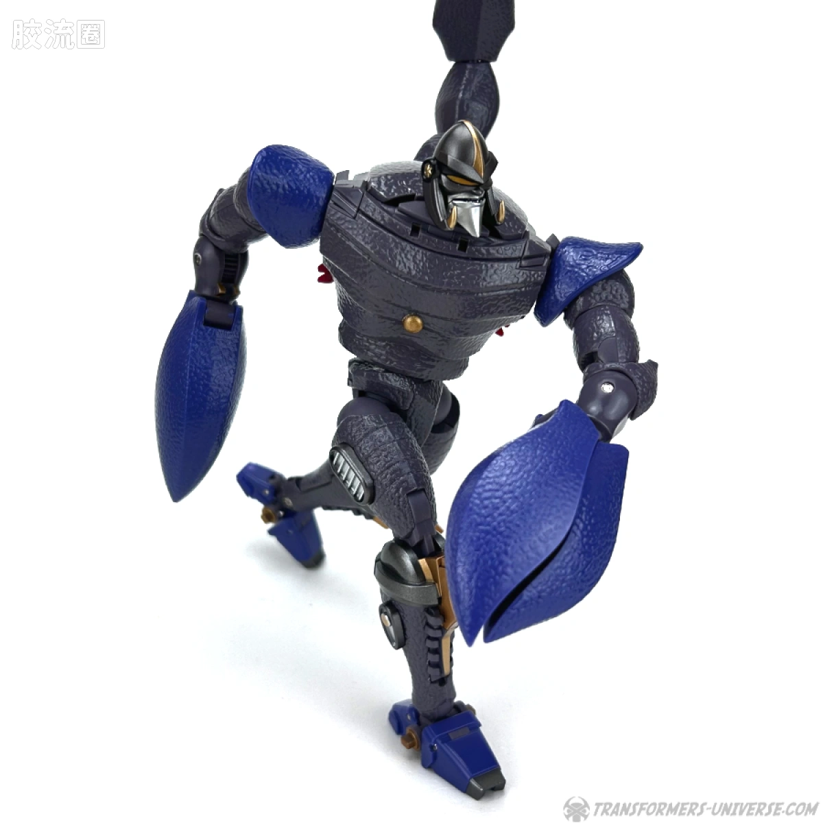 ROBOT TOYS 变形玩具系列 RT-D系列（MP比例） RT-D01 Lord Venatagon（毒敌代王） - 图片
