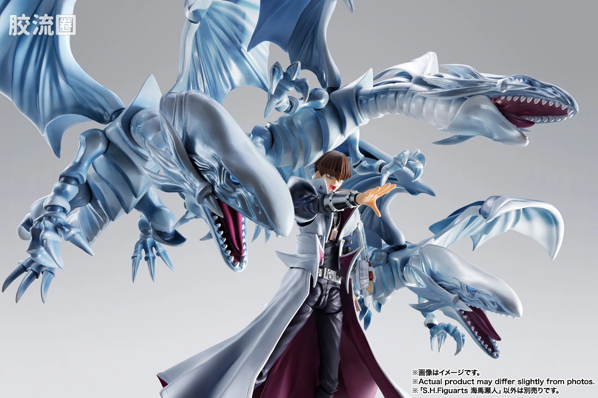 SHF 综合系列 海马濑人 - 图片